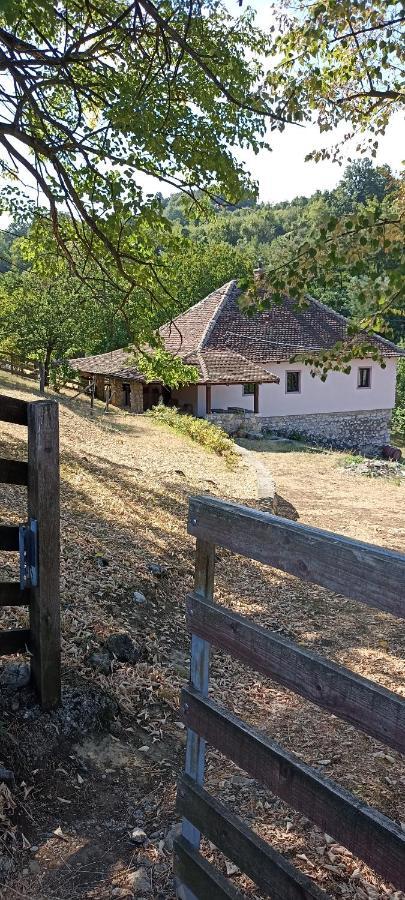 דירות ואליג'בו Poljoprivredno Turisticko Domacinstvo Deguric מראה חיצוני תמונה